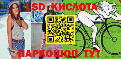 дмт Гай