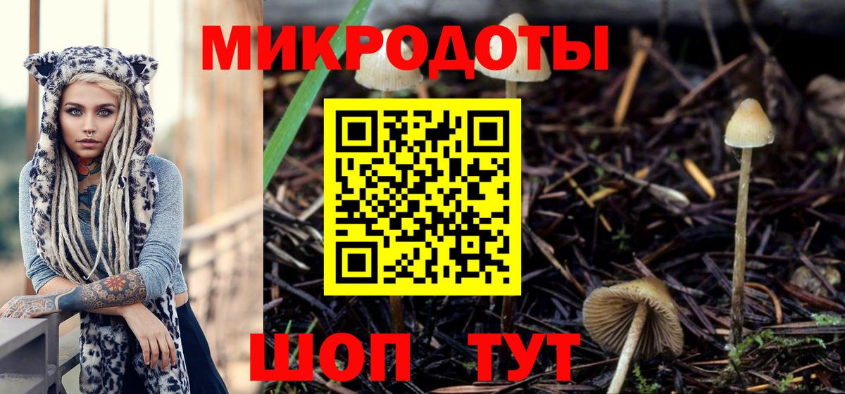 Псилоцибиновые грибы Cubensis  Вход с VPN  Карпинск 